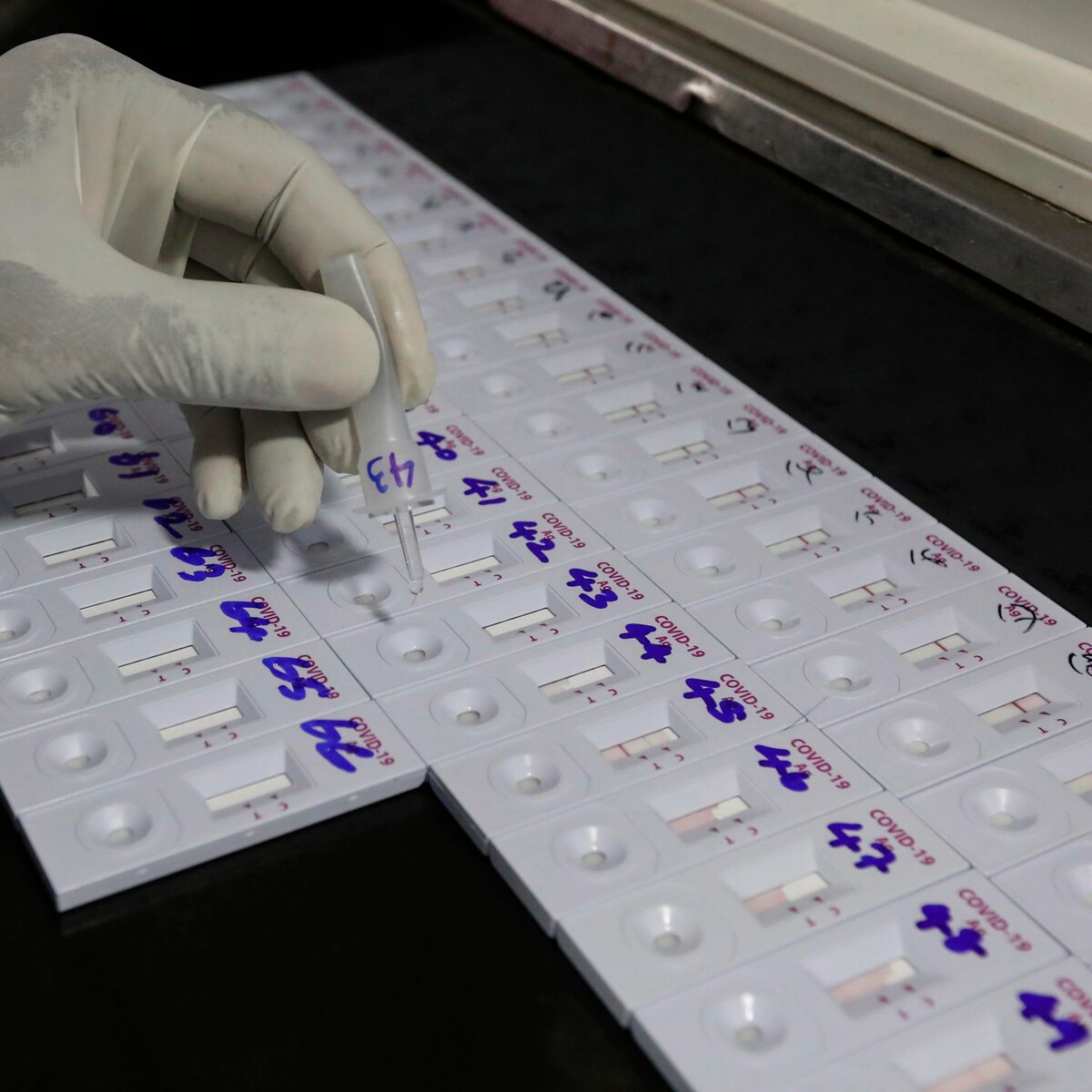 Covid La Variante Delta Sintomi Chi Contagia E Vaccini