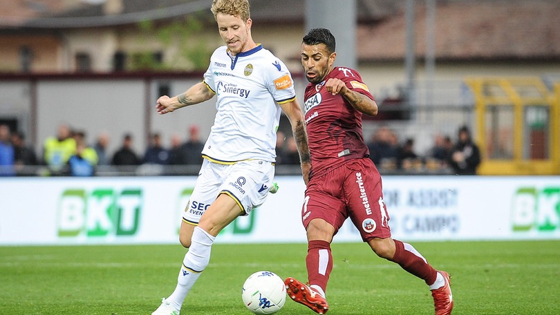 Diretta Cittadella-Verona, probabili formazioni. Dove vederla in tv
