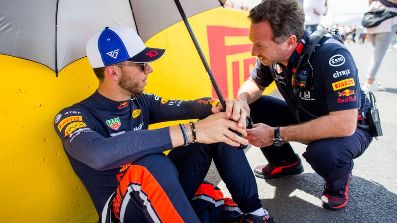 Red Bull, Marko: "Non c'è nulla di vero sull'arrivo di Kvyat"