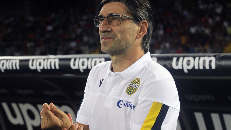 Verona, Juric: "Gara preparata in maniera aggressiva"