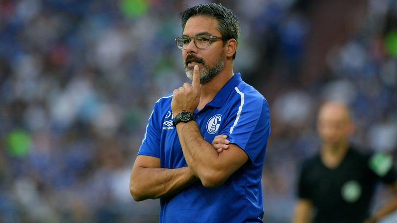Bundesliga: il Friburgo stende l'Hoffenheim, manita Schalke