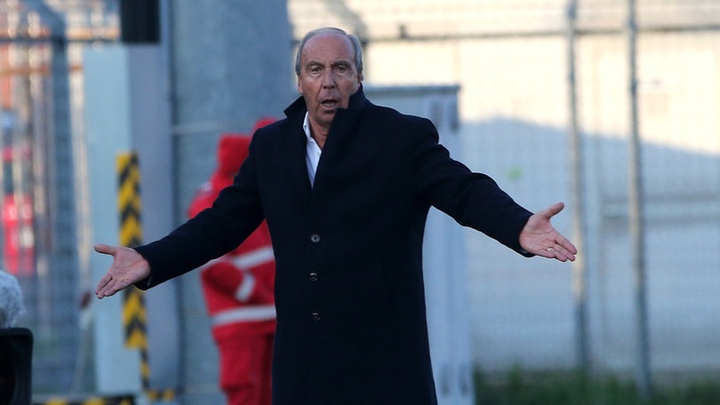Diretta Salernitana-Crotone alle 21, probabili formazioni. Dove vederla in tv