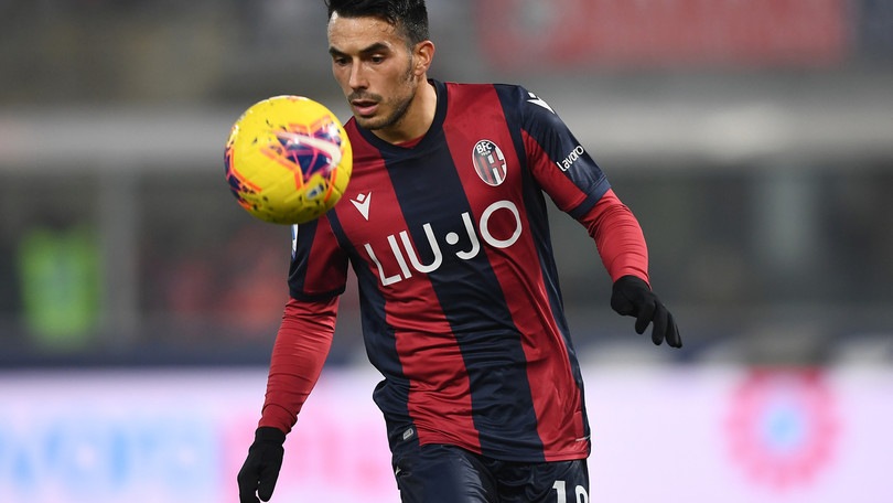 Bologna, per Sansone nessuna lesione