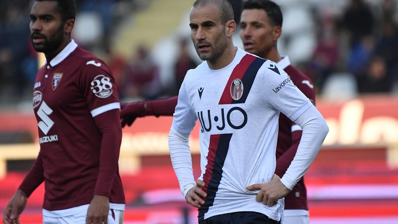 Bologna, Bigon su Palacio: "Aspettiamo la risposta sul rinnovo"