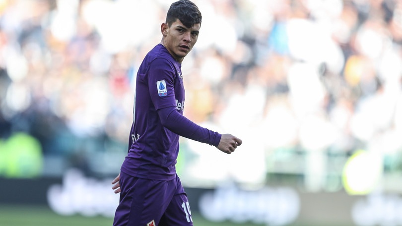 Agudelo si presenta: "Facile scegliere la Fiorentina"