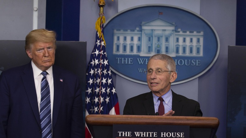Washington Post: "Trump chiese l'immunità di gregge per gli Usa"