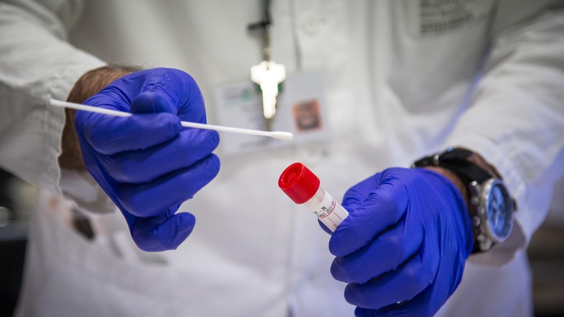 Coronavirus, i dati in Italia: 260 morti in un giorno