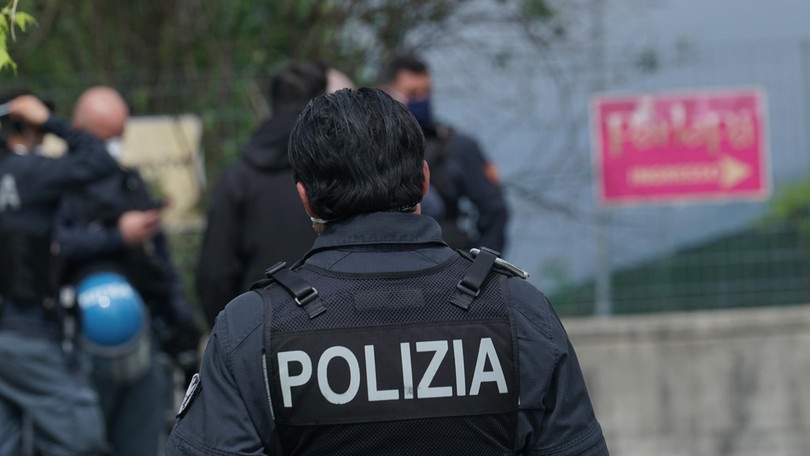 Benevento, avvistata una pantera: la cerca la polizia