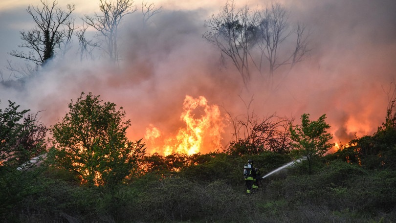 Russia, incendio nel reparto Covid dell'ospedale di San Pietroburgo: 5 morti