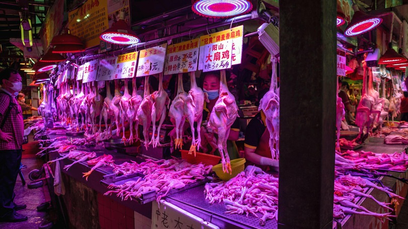 Dagli Usa: "Il Coronavirus non proviene da un animale del mercato di Wuhan"