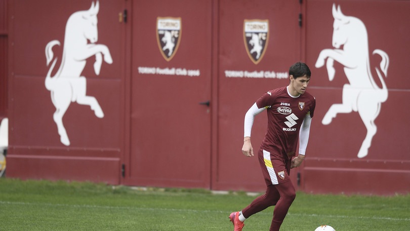Torino, seduta mattutina. Personalizzato per Lukic