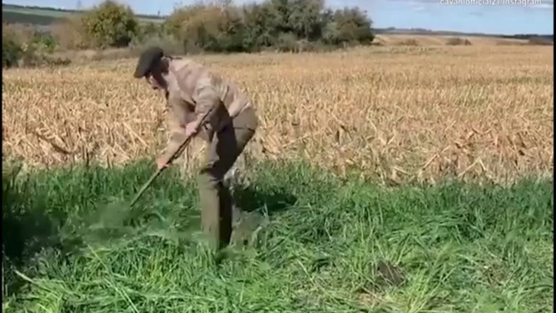 Cavani, addominali nei campi