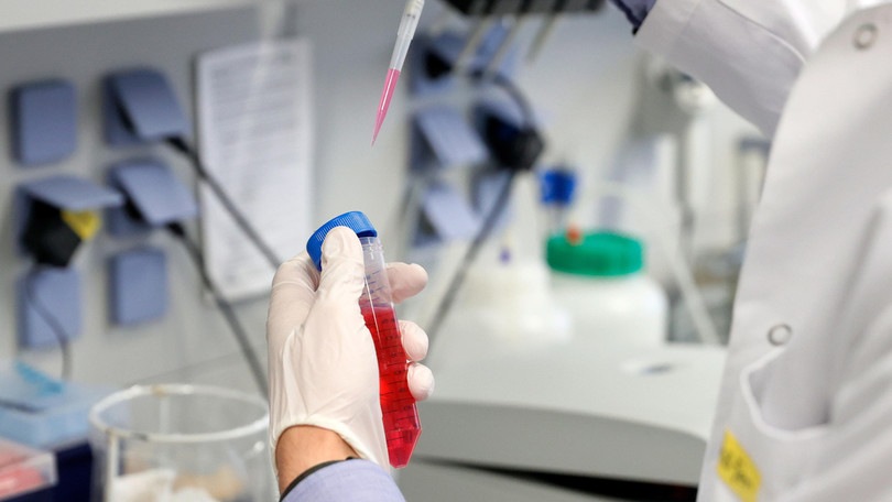 Coronavirus, c’è un gruppo sanguigno che corre meno rischi