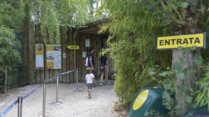 Coronavirus, italiani in vacanza: come e dove?