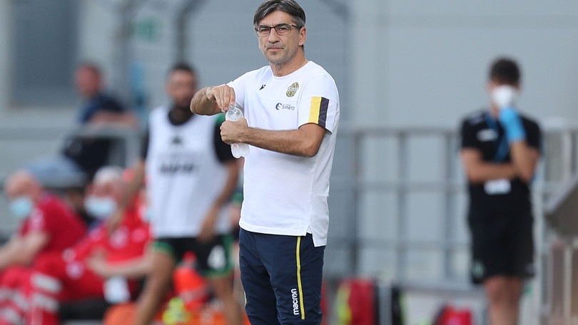 Verona, Juric: "Parma è squadra vera. Zaccagni può ambire alla Nazionale"