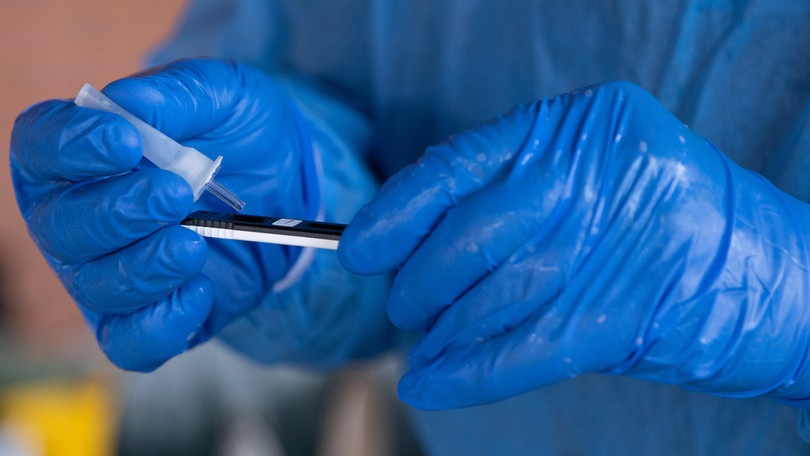 Coronavirus sugli imballaggi di maiale importato in Cina