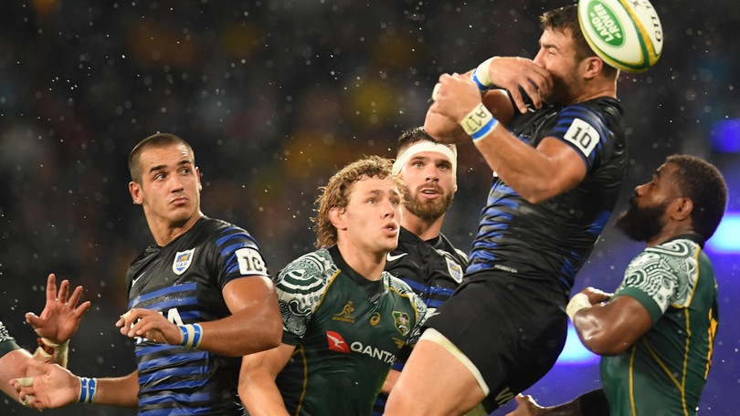 Tri Nations 2020: il pareggio di Argentina e Australia consegna il titolo agli All Blacks