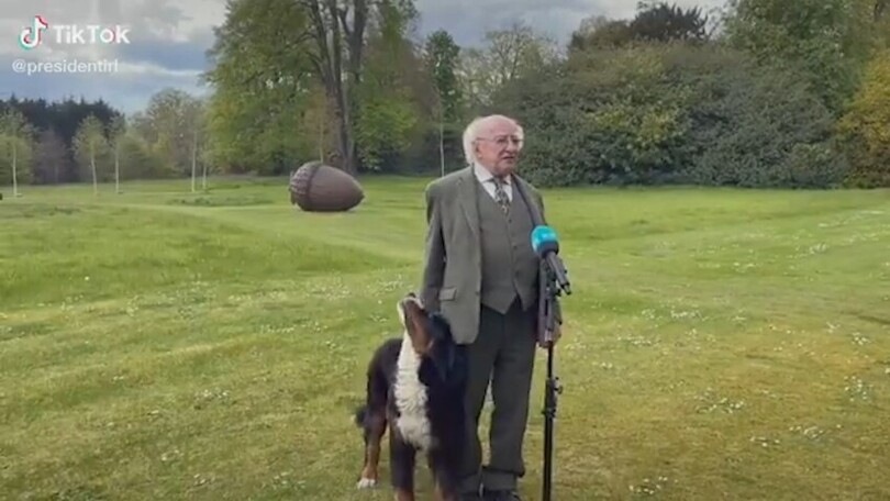 L’ospite dell’intervista al presidente irlandese è... il suo cagnolino: gli ruba tutta la scena!