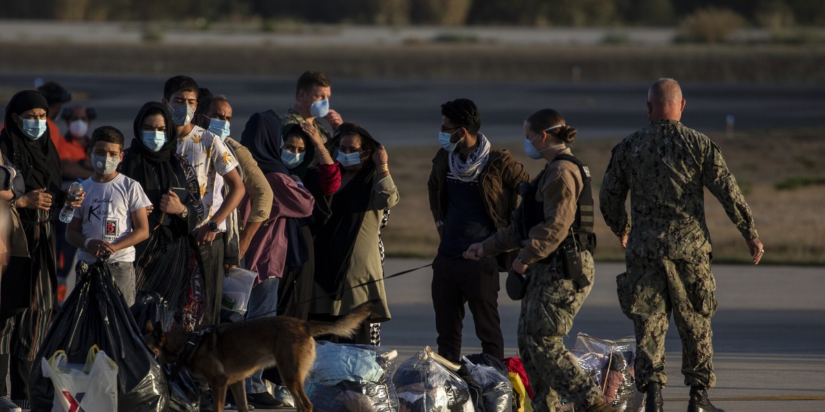 Afghanistan, gli animalisti contro Biden: "Tanti cani soldato abbandonati, saranno uccisi"
