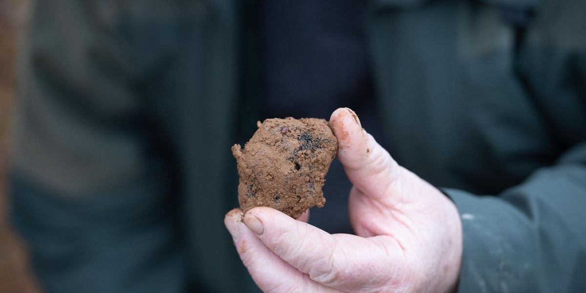 'Cerca e cavatura del tartufo' entra nel patrimonio dell'Unesco