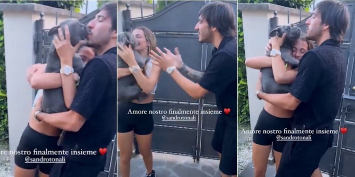 Tonali torna a casa e il cane impazzisce: il commovente video sui social