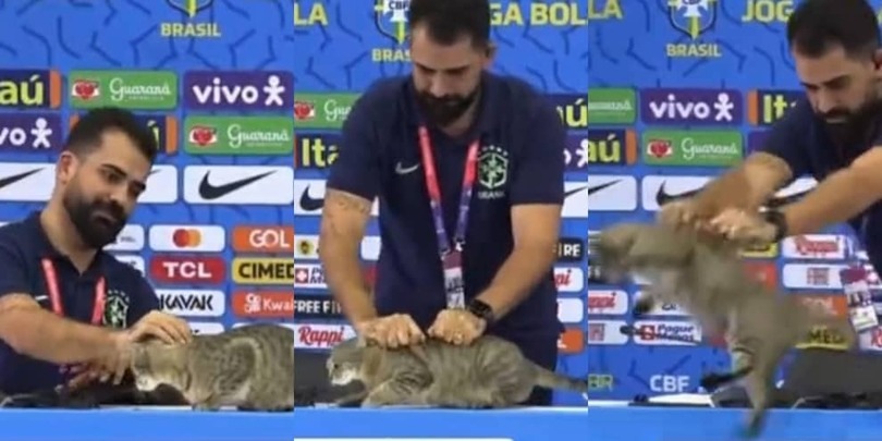 Brasile, un gatto si intrufola alla conferenza stampa di Vinicius! Accarezzato, preso e...