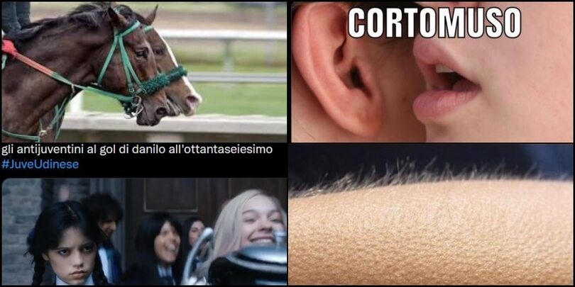 Allegri, dalla camomilla al galoppo: la Juve spacca sui social FOTO