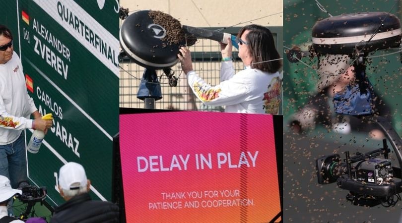 Indian Wells, lo Specialista Lance Davis libera il campo dalle api a mani nude!