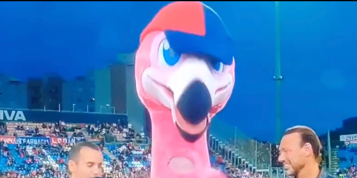 Pully, la mascotte del Cagliari ormai è una star: l'intervista in diretta tv