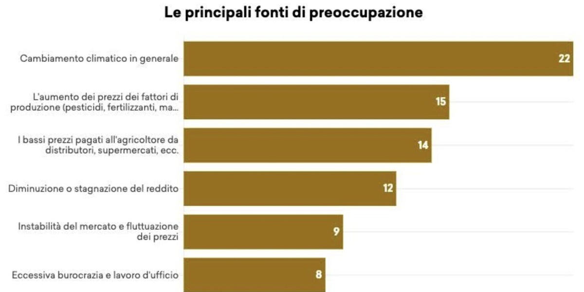 A un anno dalle proteste dei trattori parlano i manager agricoli: "Situazione pessima e cambiamento climatico prima preoccupazione". Ma c'è ottimismo sul futuro