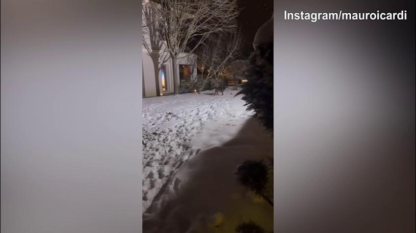 Icardi, quanta neve a Istanbul