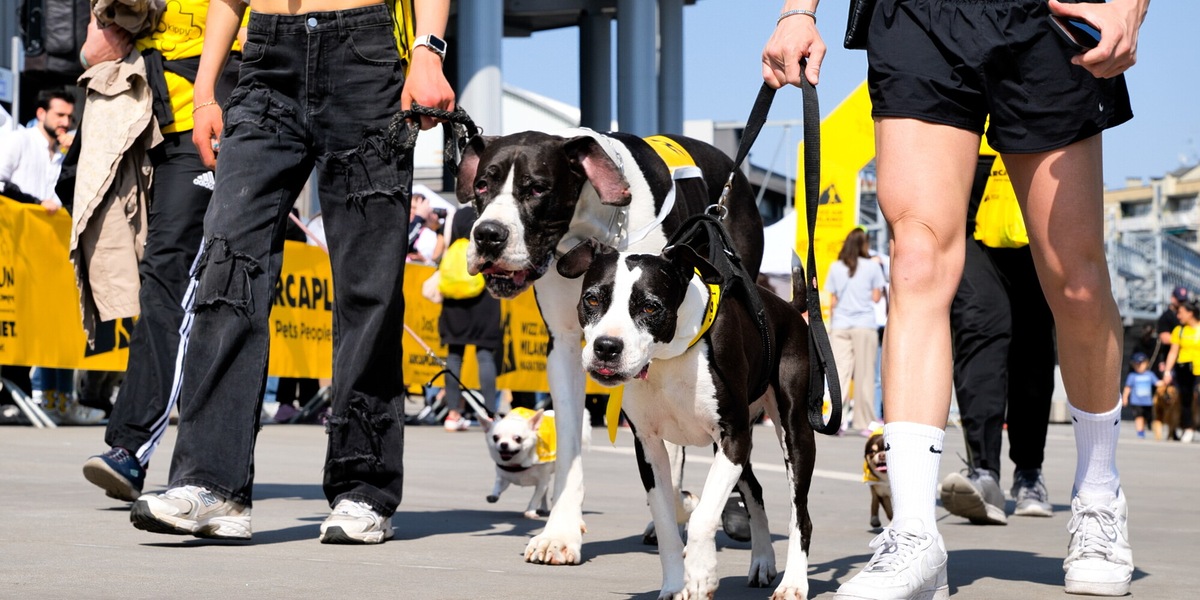Arcaplanet festeggia il grande successo alla Dog Run di Milano