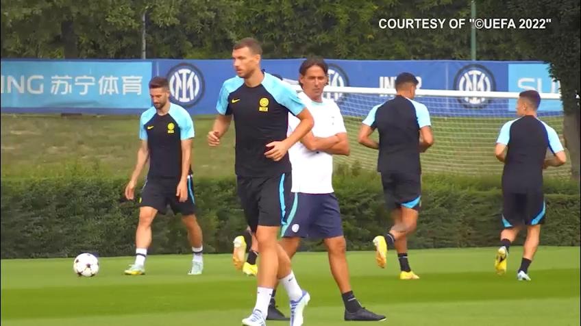 Fiorentina, l'accordo con Dzeko è vicino