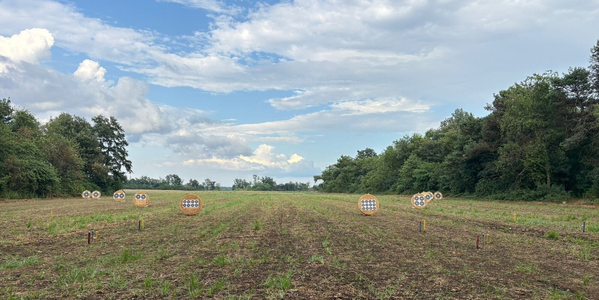 Fitarco: Campionato Regionale Campagna 2025 a Cameri