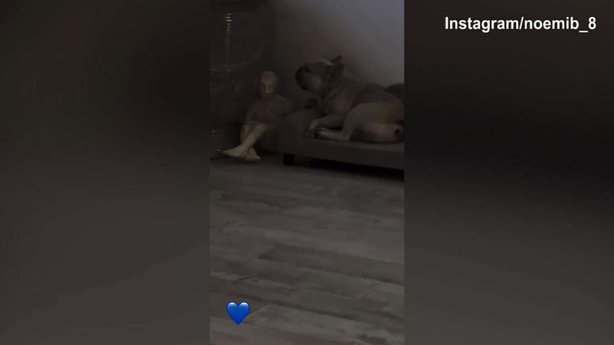 Totti in campo per Operazione Nostalgia: a casa Noemi guarda la partita, ma il cane...