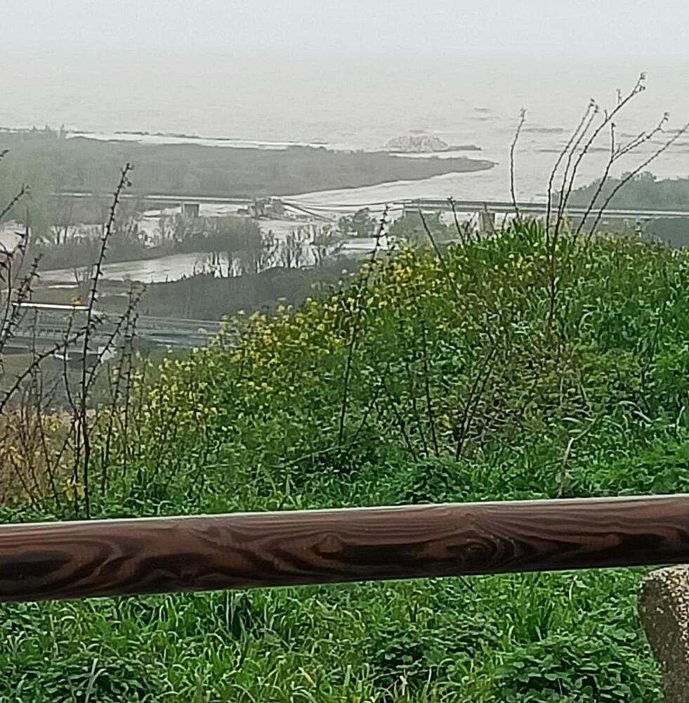 Ponte crollato sul Trigno, Mit 'A14 gratuita per garantire collegamenti'