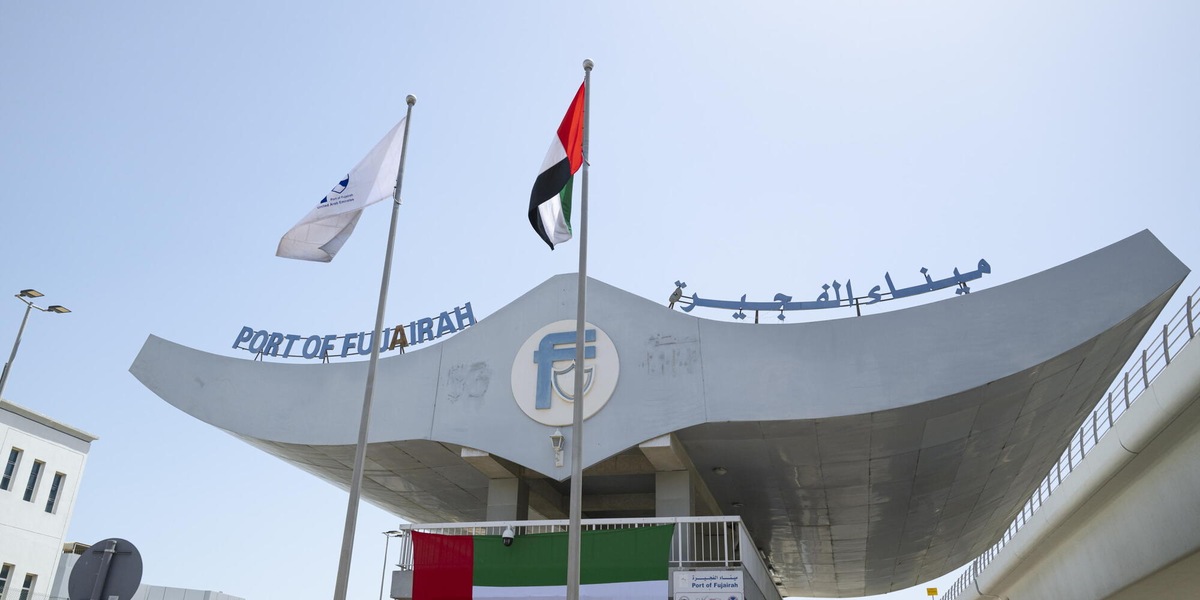 Gli Emirati Arabi escono dall'Opec e Opec+, nuova strategia