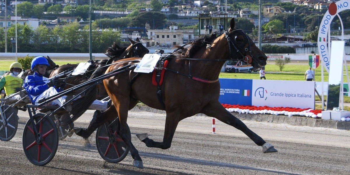 Napoli, Free Time Jepson vince il 77° Gran Premio Lotteria