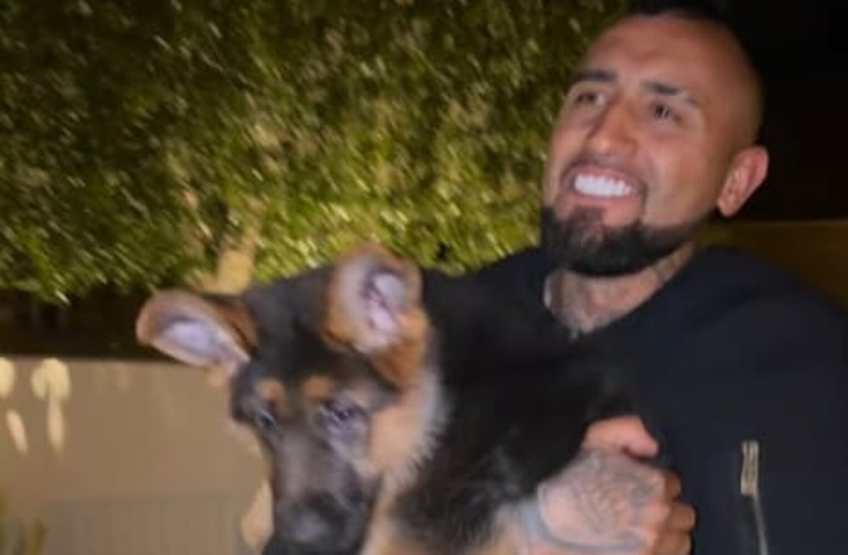 Vidal non dimentica la Juve e chiama il cane Pirlo. Social scatenati: "Le sa tirare le punizioni?"