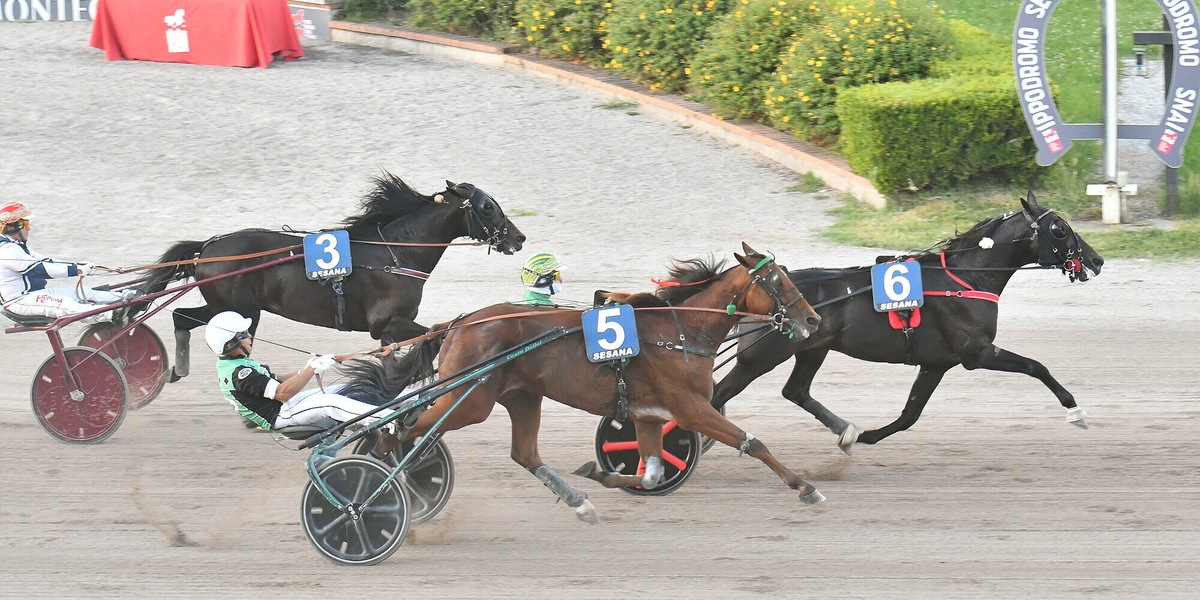 Montecatini, Iridio sbanca il Sesana: vittoria e record nel Premio Scuderia Big David