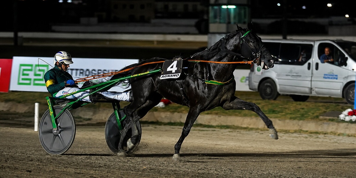 Trotto, sabato al Garigliano va in scena il Gran Premio Freccia d’Europa