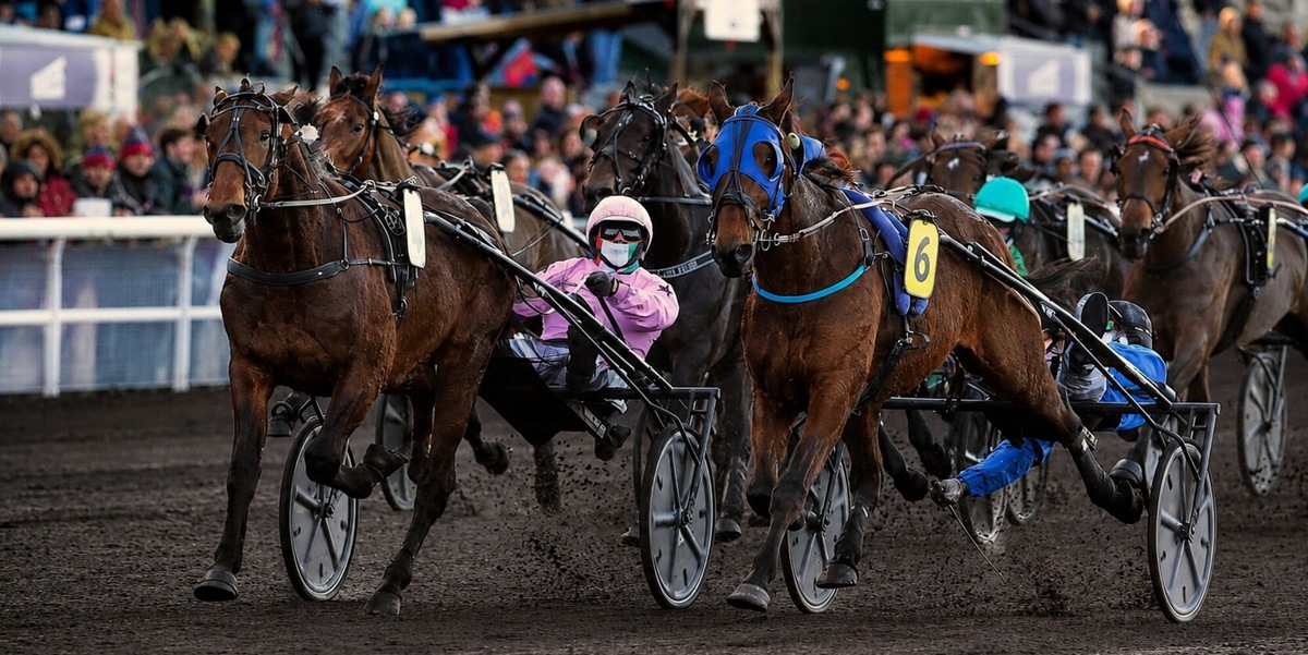 Norvegia, domenica l’Ulf Thoresen Grand International: l'Italia con Executiv Ek e Alessandro Gocciadoro