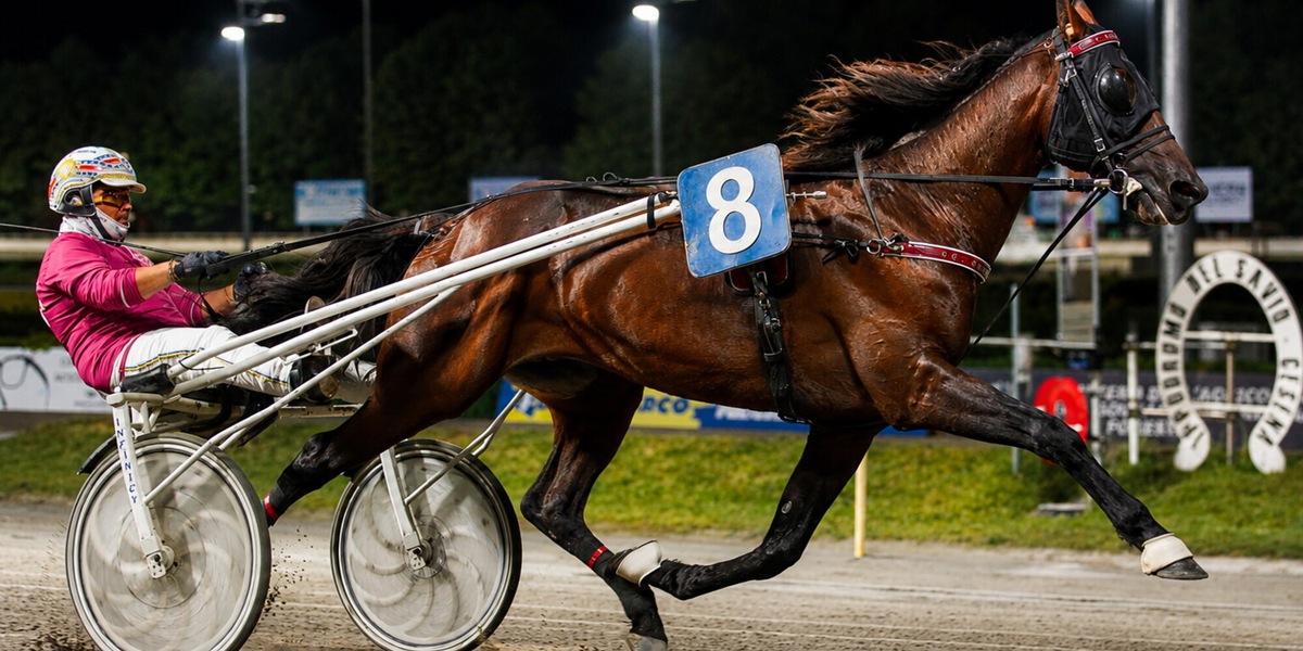 Cesena, prima classica della stagione: sabato 4 luglio il Gran Premio Riccardo Grassi