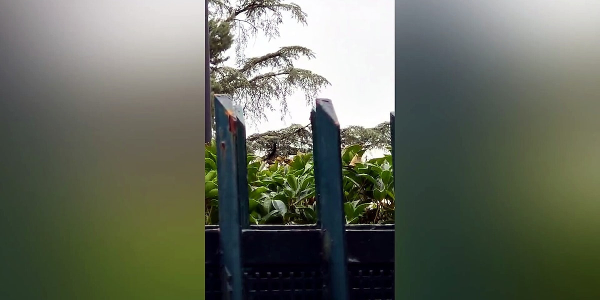 Milan, Cardinale lascia Milanello con il suo elicottero