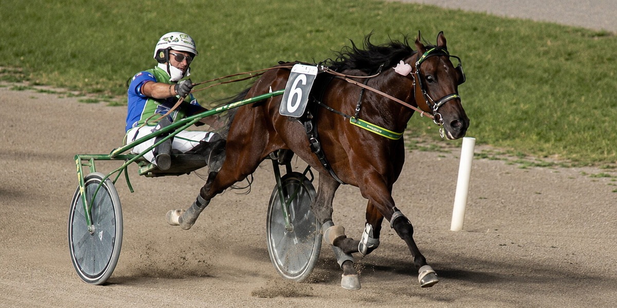 Padova, Gill Dorial inaugura l'albo d'oro del Gran Premio Giuseppe Stefanelli