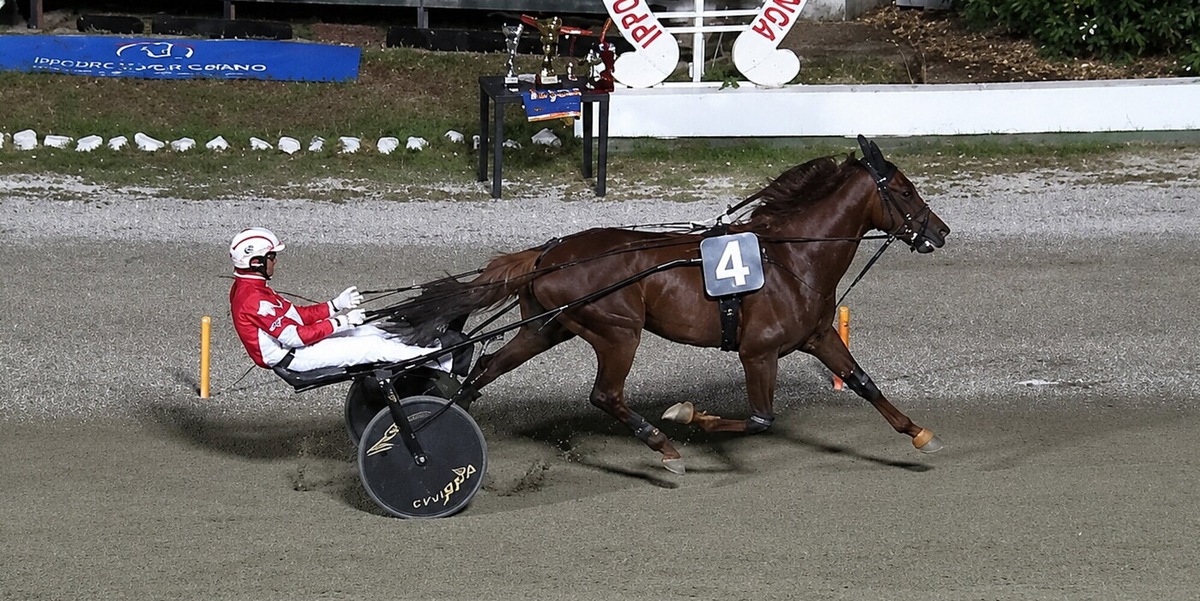 Gran Premio Regione Liguria, vittoria sul velluto per Indianfire Wf