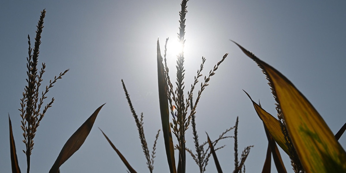 Siccità, costi triplicati per l'Italia con 2 gradi in più