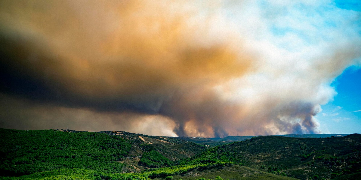 Evacuate oltre 400 persone a Huelva in Spagna per un incendio boschivo