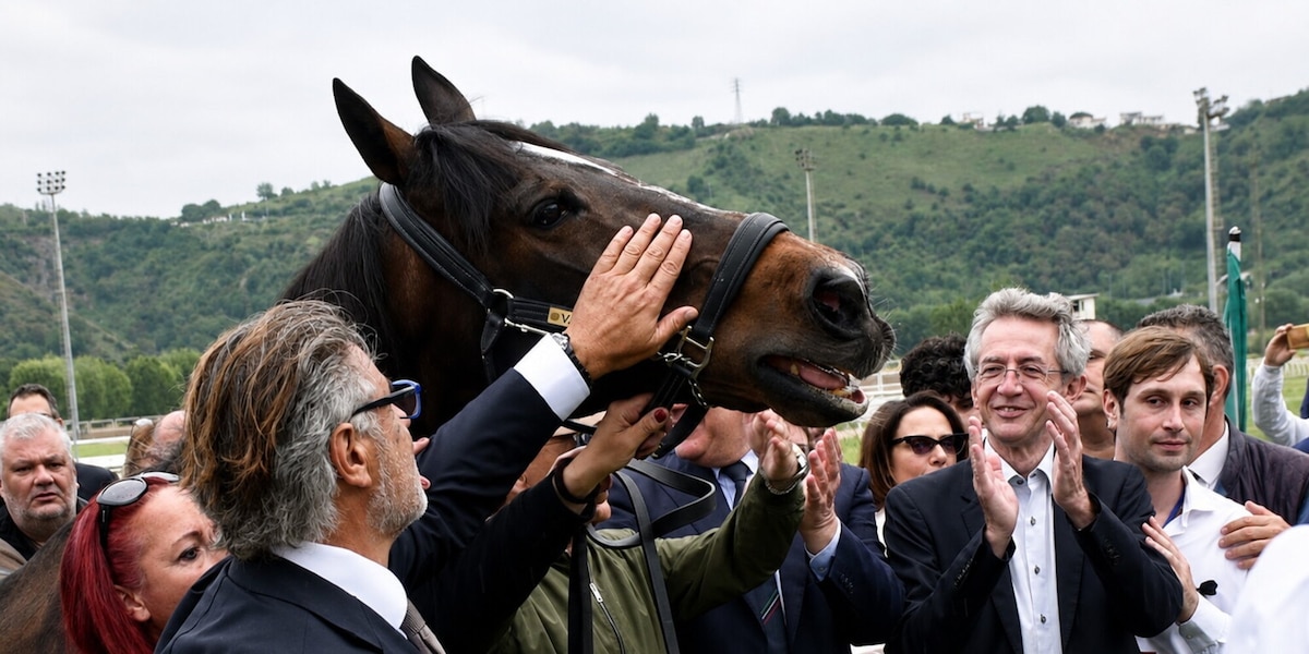 Tutte le corse del weekend nel ricordo di Varenne