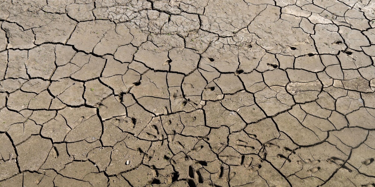 Guardian, 'almeno 35.000 morti in Europa per ondate calore di questa estate'